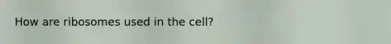 How are ribosomes used in the cell?