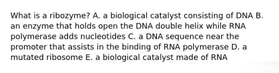 What is a ribozyme? A. a biological catalyst consisting of DNA B. an enzyme that holds open the DNA double helix while RNA polymerase adds nucleotides C. a DNA sequence near the promoter that assists in the binding of RNA polymerase D. a mutated ribosome E. a biological catalyst made of RNA