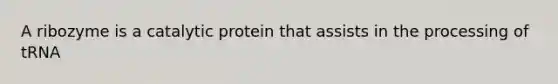 A ribozyme is a catalytic protein that assists in the processing of tRNA