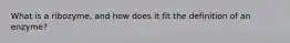 What is a ribozyme, and how does it fit the definition of an enzyme?