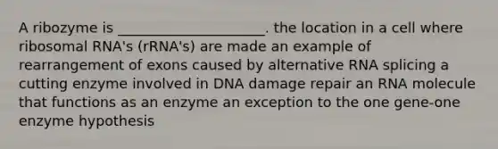 A ribozyme is _____________________. the location in a cell where ribosomal RNA's (rRNA's) are made an example of rearrangement of exons caused by alternative RNA splicing a cutting enzyme involved in DNA damage repair an RNA molecule that functions as an enzyme an exception to the one gene-one enzyme hypothesis