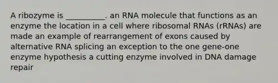 A ribozyme is __________. an RNA molecule that functions as an enzyme the location in a cell where <a href='https://www.questionai.com/knowledge/k4lWAiAI7W-ribosomal-rna' class='anchor-knowledge'>ribosomal rna</a>s (rRNAs) are made an example of rearrangement of exons caused by alternative RNA splicing an exception to the one gene-one enzyme hypothesis a cutting enzyme involved in DNA damage repair