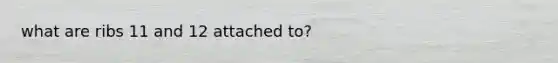 what are ribs 11 and 12 attached to?