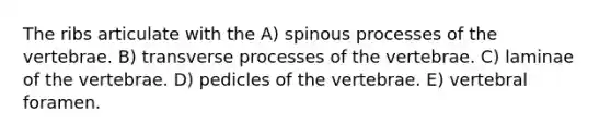 The ribs articulate with the A) spinous processes of the vertebrae. B) transverse processes of the vertebrae. C) laminae of the vertebrae. D) pedicles of the vertebrae. E) vertebral foramen.