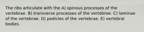 The ribs articulate with the A) spinous processes of the vertebrae. B) transverse processes of the vertebrae. C) laminae of the vertebrae. D) pedicles of the vertebrae. E) vertebral bodies.