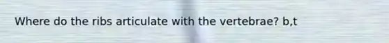 Where do the ribs articulate with the vertebrae? b,t