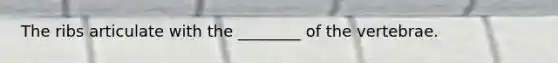 The ribs articulate with the ________ of the vertebrae.