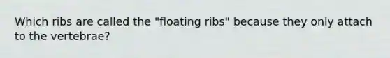 Which ribs are called the "floating ribs" because they only attach to the vertebrae?