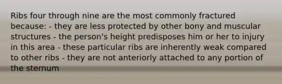 Ribs four through nine are the most commonly fractured because: - they are less protected by other bony and muscular structures - the person's height predisposes him or her to injury in this area - these particular ribs are inherently weak compared to other ribs - they are not anteriorly attached to any portion of the sternum