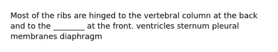 Most of the ribs are hinged to the vertebral column at the back and to the ________ at the front. ventricles sternum pleural membranes diaphragm