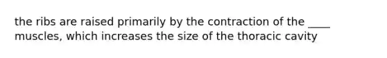 the ribs are raised primarily by the contraction of the ____ muscles, which increases the size of the thoracic cavity
