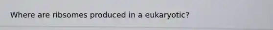 Where are ribsomes produced in a eukaryotic?