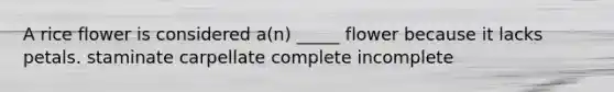 A rice flower is considered a(n) _____ flower because it lacks petals. staminate carpellate complete incomplete