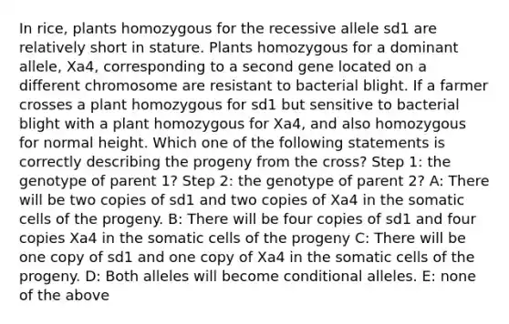 In rice, plants homozygous for the recessive allele sd1 are relatively short in stature. Plants homozygous for a dominant allele, Xa4, corresponding to a second gene located on a different chromosome are resistant to bacterial blight. If a farmer crosses a plant homozygous for sd1 but sensitive to bacterial blight with a plant homozygous for Xa4, and also homozygous for normal height. Which one of the following statements is correctly describing the progeny from the cross? Step 1: the genotype of parent 1? Step 2: the genotype of parent 2? A: There will be two copies of sd1 and two copies of Xa4 in the somatic cells of the progeny. B: There will be four copies of sd1 and four copies Xa4 in the somatic cells of the progeny C: There will be one copy of sd1 and one copy of Xa4 in the somatic cells of the progeny. D: Both alleles will become conditional alleles. E: none of the above