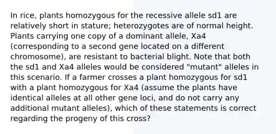 In rice, plants homozygous for the recessive allele sd1 are relatively short in stature; heterozygotes are of normal height. Plants carrying one copy of a dominant allele, Xa4 (corresponding to a second gene located on a different chromosome), are resistant to bacterial blight. Note that both the sd1 and Xa4 alleles would be considered "mutant" alleles in this scenario. If a farmer crosses a plant homozygous for sd1 with a plant homozygous for Xa4 (assume the plants have identical alleles at all other gene loci, and do not carry any additional mutant alleles), which of these statements is correct regarding the progeny of this cross?