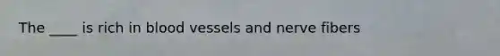 The ____ is rich in blood vessels and nerve fibers