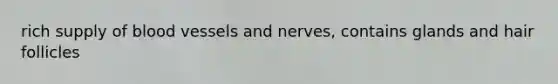 rich supply of blood vessels and nerves, contains glands and hair follicles