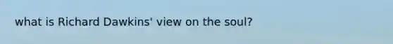 what is Richard Dawkins' view on the soul?