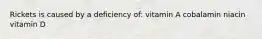 Rickets is caused by a deficiency of: vitamin A cobalamin niacin vitamin D