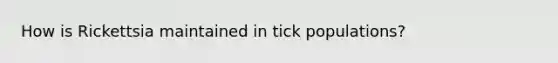 How is Rickettsia maintained in tick populations?