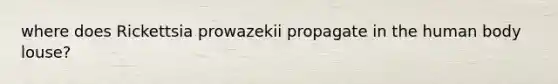 where does Rickettsia prowazekii propagate in the human body louse?