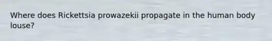 Where does Rickettsia prowazekii propagate in the human body louse?