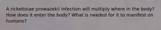 A rickettsiae prowazekii infection will multiply where in the body? How does it enter the body? What is needed for it to manifest on humans?