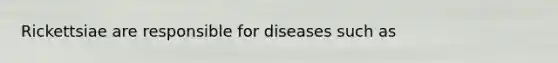 Rickettsiae are responsible for diseases such as