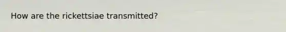 How are the rickettsiae transmitted?