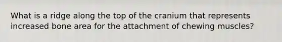 What is a ridge along the top of the cranium that represents increased bone area for the attachment of chewing muscles?