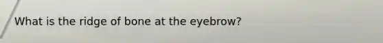 What is the ridge of bone at the eyebrow?