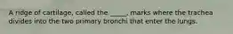 A ridge of cartilage, called the _____, marks where the trachea divides into the two primary bronchi that enter the lungs.