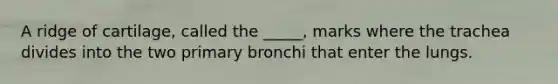 A ridge of cartilage, called the _____, marks where the trachea divides into the two primary bronchi that enter the lungs.