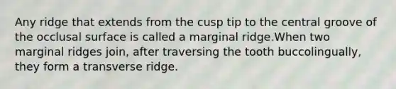 Any ridge that extends from the cusp tip to the central groove of the occlusal surface is called a marginal ridge.When two marginal ridges join, after traversing the tooth buccolingually, they form a transverse ridge.