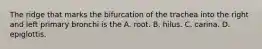 The ridge that marks the bifurcation of the trachea into the right and left primary bronchi is the A. root. B. hilus. C. carina. D. epiglottis.