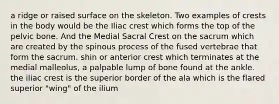 a ridge or raised surface on the skeleton. Two examples of crests in the body would be the Iliac crest which forms the top of the pelvic bone. And the Medial Sacral Crest on the sacrum which are created by the spinous process of the fused vertebrae that form the sacrum. shin or anterior crest which terminates at the medial malleolus, a palpable lump of bone found at the ankle. the iliac crest is the superior border of the ala which is the flared superior "wing" of the ilium