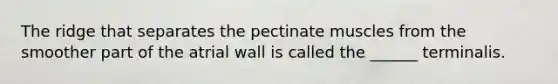 The ridge that separates the pectinate muscles from the smoother part of the atrial wall is called the ______ terminalis.