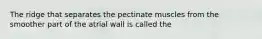 The ridge that separates the pectinate muscles from the smoother part of the atrial wall is called the