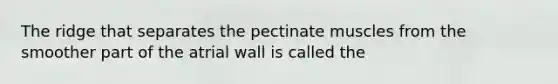 The ridge that separates the pectinate muscles from the smoother part of the atrial wall is called the