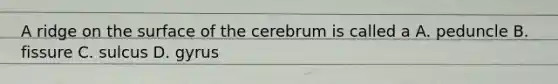 A ridge on the surface of the cerebrum is called a A. peduncle B. fissure C. sulcus D. gyrus