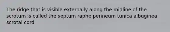 The ridge that is visible externally along the midline of the scrotum is called the septum raphe perineum tunica albuginea scrotal cord