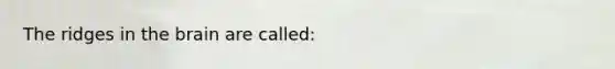 The ridges in <a href='https://www.questionai.com/knowledge/kLMtJeqKp6-the-brain' class='anchor-knowledge'>the brain</a> are called: