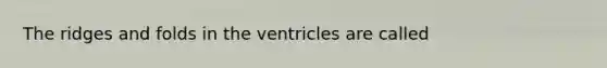 The ridges and folds in the ventricles are called