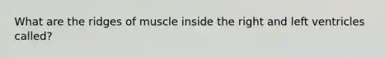 What are the ridges of muscle inside the right and left ventricles called?