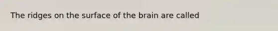 The ridges on the surface of the brain are called