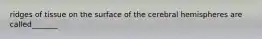 ridges of tissue on the surface of the cerebral hemispheres are called_______