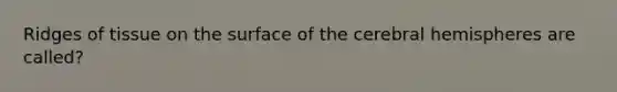 Ridges of tissue on the surface of the cerebral hemispheres are called?