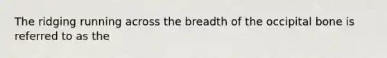 The ridging running across the breadth of the occipital bone is referred to as the