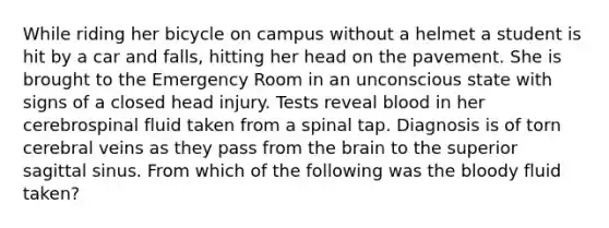 While riding her bicycle on campus without a helmet a student is hit by a car and falls, hitting her head on the pavement. She is brought to the Emergency Room in an unconscious state with signs of a closed head injury. Tests reveal blood in her cerebrospinal fluid taken from a spinal tap. Diagnosis is of torn cerebral veins as they pass from the brain to the superior sagittal sinus. From which of the following was the bloody fluid taken?