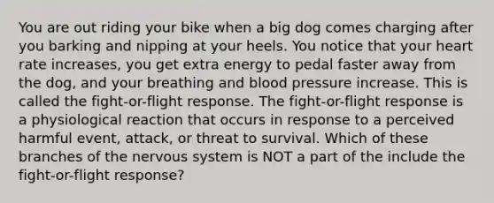 You are out riding your bike when a big dog comes charging after you barking and nipping at your heels. You notice that your heart rate increases, you get extra energy to pedal faster away from the dog, and your breathing and blood pressure increase. This is called the fight-or-flight response. The fight-or-flight response is a physiological reaction that occurs in response to a perceived harmful event, attack, or threat to survival. Which of these branches of the nervous system is NOT a part of the include the fight-or-flight response?